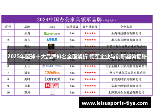 2025年篮球十大品牌排名全面解析 领军企业与创新趋势揭秘