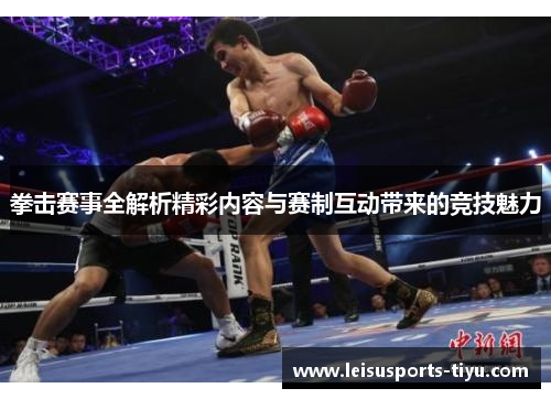 拳击赛事全解析精彩内容与赛制互动带来的竞技魅力