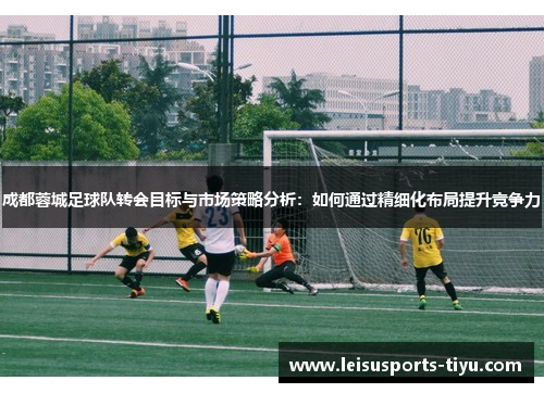 成都蓉城足球队转会目标与市场策略分析：如何通过精细化布局提升竞争力