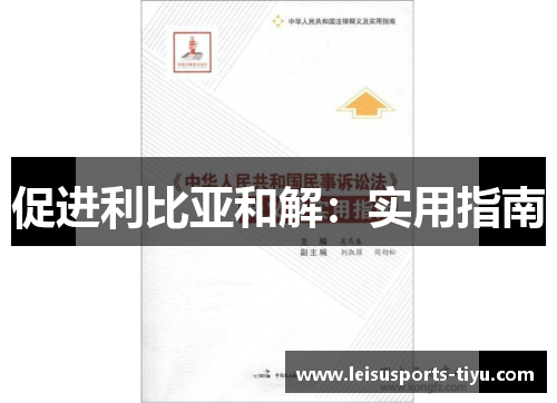 促进利比亚和解：实用指南